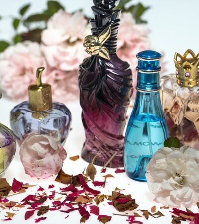 6 Best Different Types Of Perfume