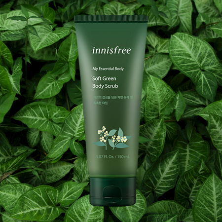 Innisfree Green Tea Scrub