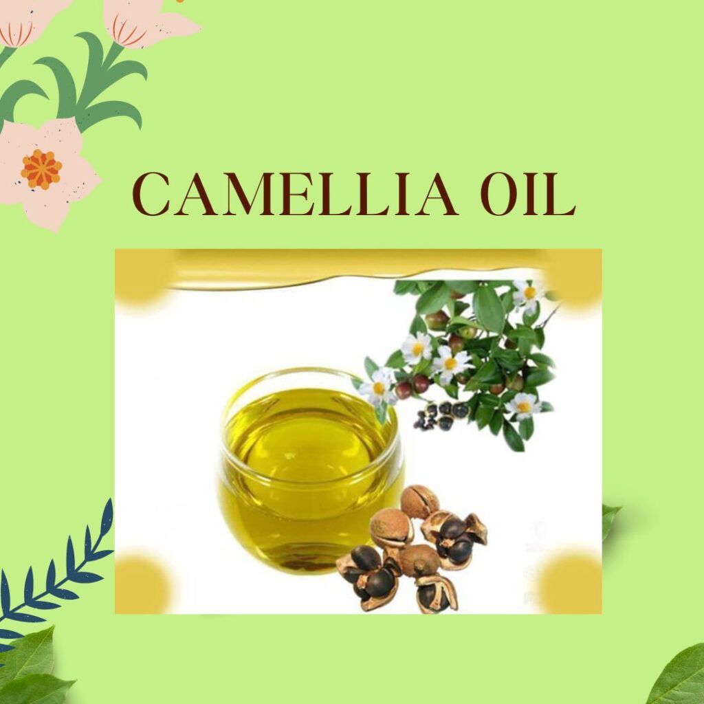 camelia oil